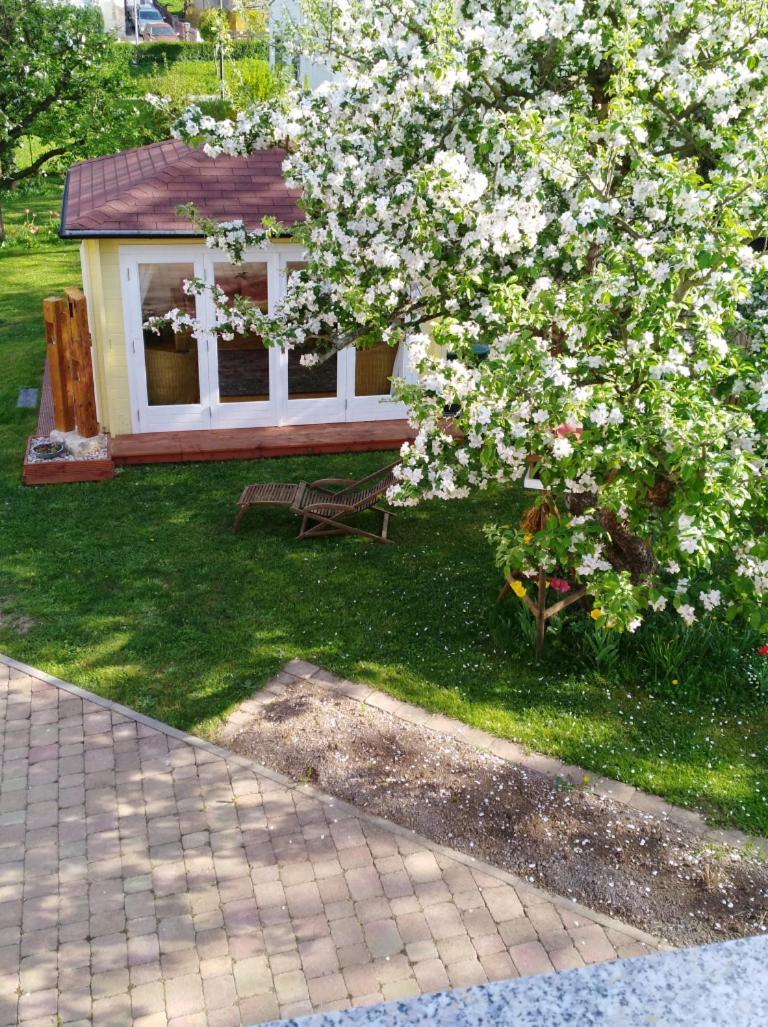 Ferienhaus Kaiser Branchewinda Ngoại thất bức ảnh